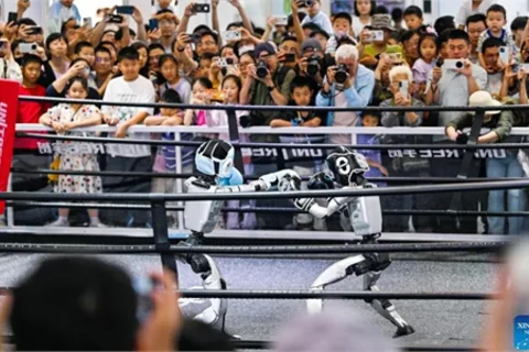 World Intelligence Expo 2026 opens to public in China's Tianjin