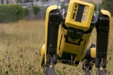 Embodied AI steps out of the lab but scaling challenges remain