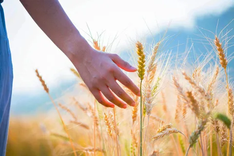Humans have a seventh sense called 'remote touch' that allows us to detect objects without physical contact, according to scientists