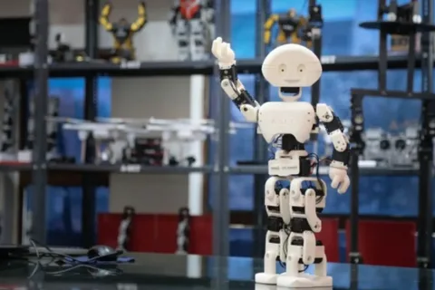 Chinese firm launches a humanoid robot for daily house chores