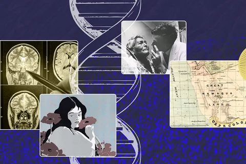 How Your Brain Decides What Matters