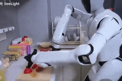 Chinese robot companies are moving beyond factory production lines and entering the home chores mark..
