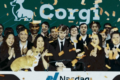 Corgi raises $160M at $1.3B valuation to expand AI-native insurance platform