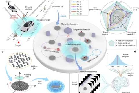Autonomous navigation of intelligent microrobotic swarms in unknown environments