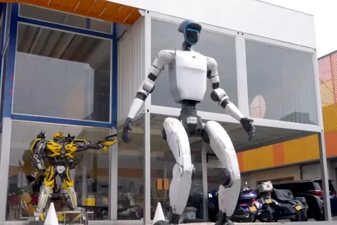 China: 100 humanoid robot to take over household chores in free trial