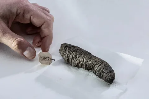 Scientists decipher new secrets from ancient scrolls scorched by Vesuvius eruption: "Finally able to read them"