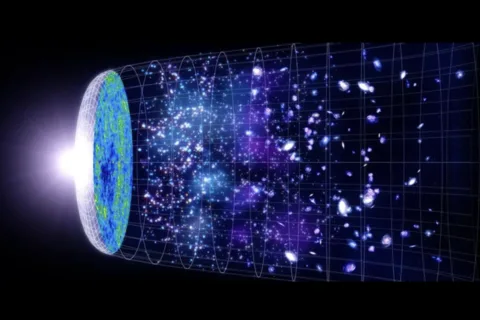 Transfer Learning Slashes Cosmology AI Costs: Neutrino Mass Degeneracy Triggers Negative Transfer