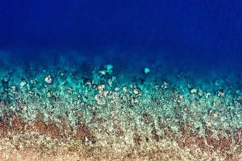 Less than a third of the world's ocean floor has been mapped to modern standards, meaning humanity currently knows more about the surface of Mars than about th…